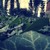 :iconemka88: