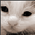 :iconemlee11: