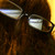 :iconemlydon: