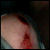 :iconemm-manifest: