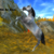 :iconemma--greenforest: