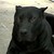 :iconemma-sama96: