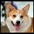 :iconemma713: