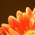 :iconemmac887: