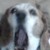 :iconemmajoe2001: