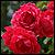 :iconemmawatson052296: