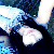 :iconemmaximpulse: