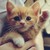 :iconemmien46:
