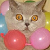 :iconemmy-cholly: