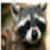 :iconemo-chik13: