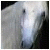 :iconemo-equines: