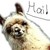 :iconemo-light-neko: