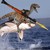 :iconemorichtofen: