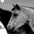 :iconemotionless-animal: