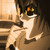 :iconemotoybunny: