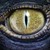 :iconemperordinodude:
