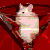 :iconemployee-thirteen: