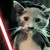 :iconempresselizabeth: