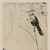 :iconempty-lot-filled: