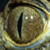 :iconemptyname: