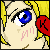 :iconemptyshuiichi: