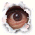 :iconemptytomb:
