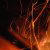 :iconemstarlight: