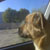 :iconemster1: