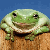 :iconemtmeg: