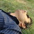 :iconemukhan: