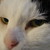 :iconemziemzy: