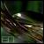 :iconen-igma: