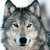 :iconenaawesome: