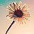 :iconenagemlafolle: