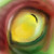 :iconenaigma: