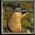 :iconenchanted-forrest: