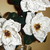 Enchanted-Gardens-00 :iconenchanted-gardens-00:
