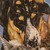 :iconenchantedadopts: