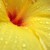EnchantedEnd :iconenchantedend: