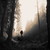:iconenchantedlights: