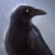 encrypted-sanity :iconencrypted-sanity: