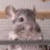 :iconencryptedkrystal: