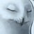encsi-gryphon :iconencsi-gryphon: