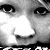 :iconendaniel: