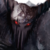 :iconendflux: