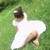 :iconendless-road: