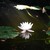 :iconendless-sea:
