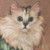 :iconendless-spirit: