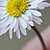 :iconendless949: