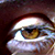 :iconendlessbutterflies: